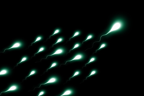 Quoi manger pour augmenter le taux de spermatozoïdes ? 