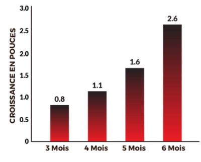 résultats obtenus avec male extra